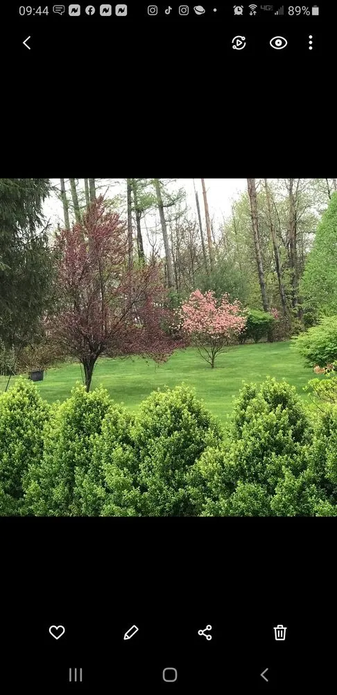 Trusted landscaping services experts serving Sciota, PA - Mathiesen Landscapes