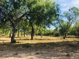 Custom outdoor landscaping in Bertram, TX by Mathis Land Management