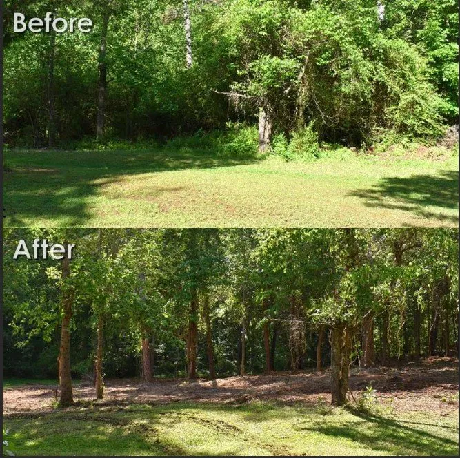 Top-rated yard cleanup service with custom design in Bertram, TX by Mathis Land Management