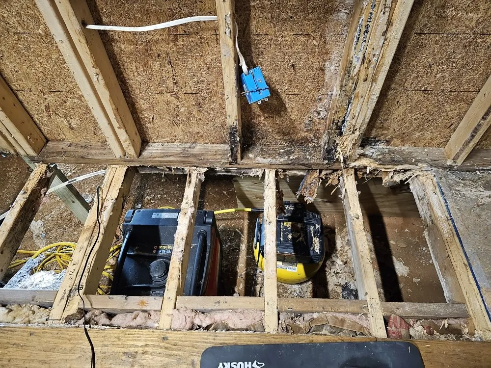 Trusted lawn care service in Travelers Rest, SC by Mathis Maintenance And More