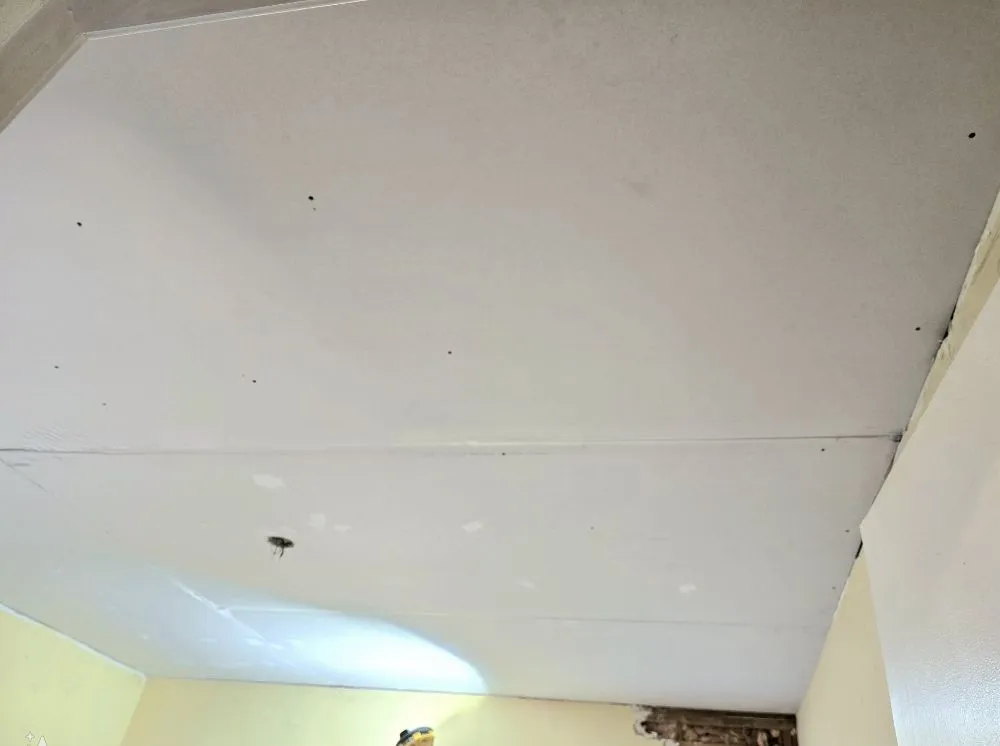 Local lawn care service in Travelers Rest, SC by Mathis Maintenance And More