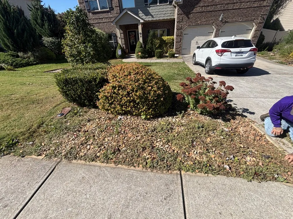 Reliable lawn care service for residential properties in Spartanburg, SC by Mathis Tree & Land Solutions