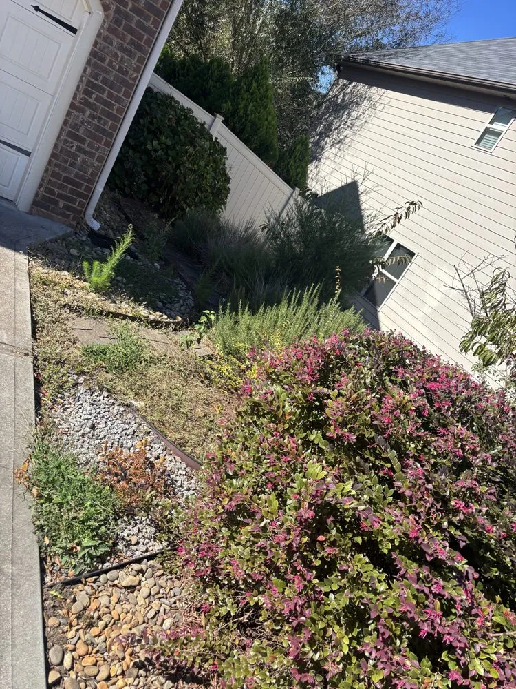 Custom yard maintenance experts serving Spartanburg, SC - Mathis Tree & Land Solutions