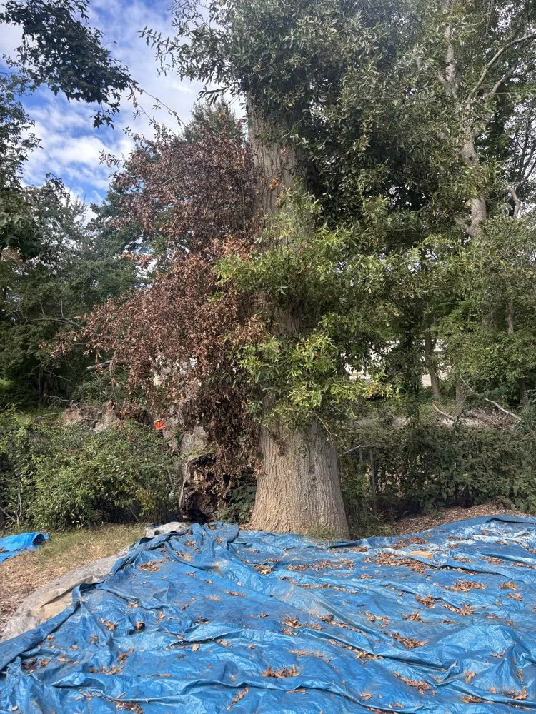 Expert garden landscaping for residential properties across Spartanburg, SC - Mathis Tree & Land Solutions