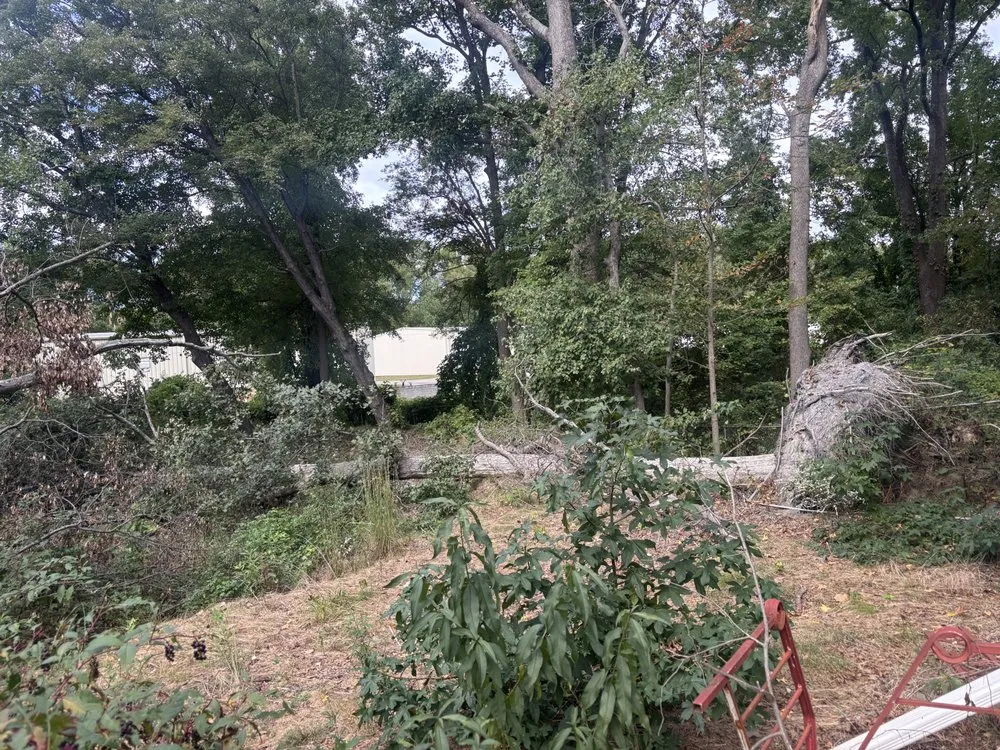 Affordable outdoor landscaping near you across Spartanburg, SC - Mathis Tree & Land Solutions