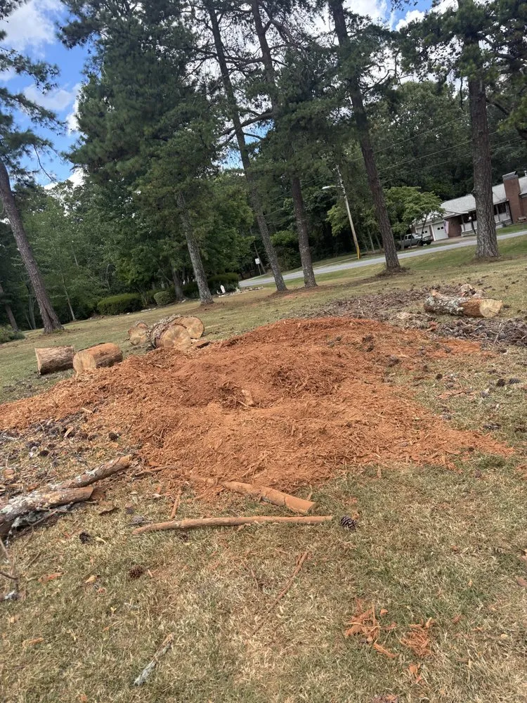 Top-rated outdoor landscaping for outdoor upgrades in Spartanburg, SC by Mathis Tree & Land Solutions