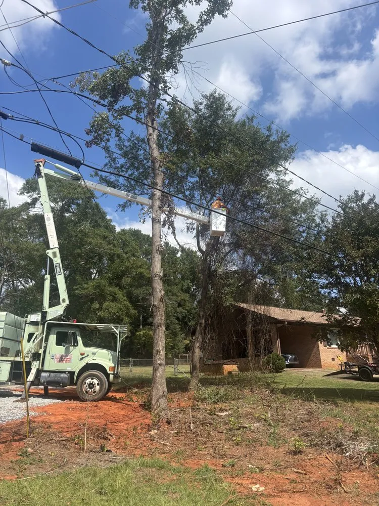 Reliable outdoor landscaping for outdoor upgrades in Spartanburg, SC by Mathis Tree & Land Solutions