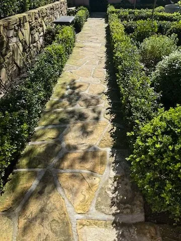 Expert residential landscaping in Seaside, CA by Matias Green Garden