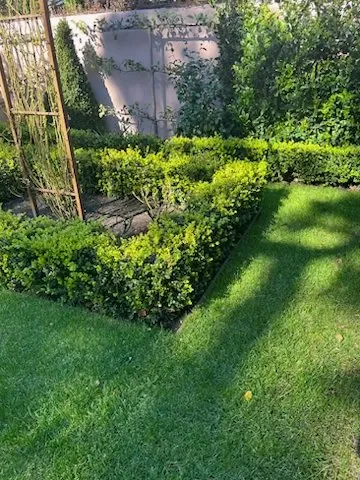 Trusted landscape installation for outdoor upgrades in Seaside, CA by Matias Green Garden