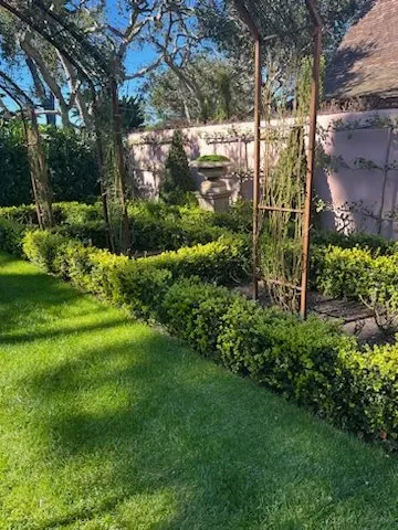 Professional lawn care service for residential properties in Seaside, CA by Matias Green Garden