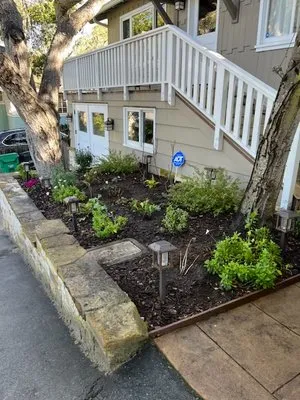 Matias Green Garden Logo