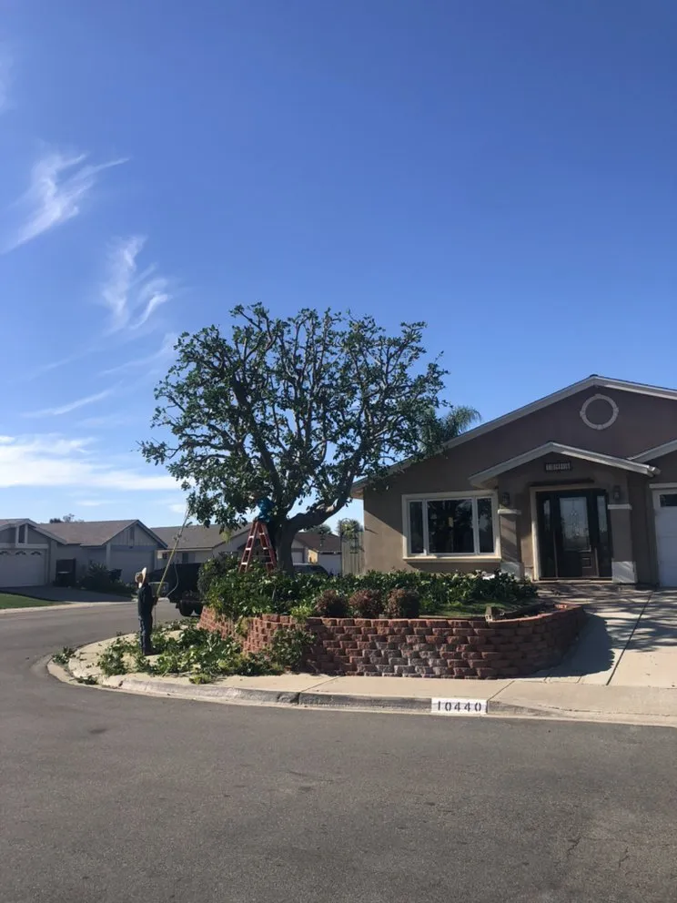 Top-rated garden landscaping with custom design across San Diego, CA - Matias Landscaping