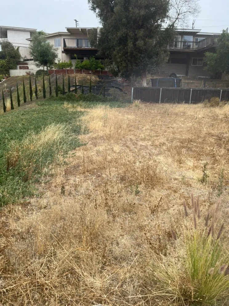 Top-rated yard cleanup service for outdoor upgrades across San Diego, CA - Matias Landscaping