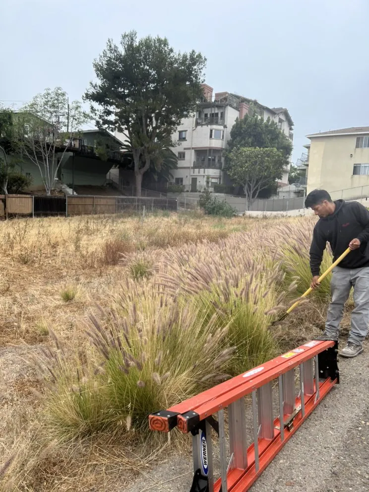 Trusted yard cleanup service in San Diego, CA by Matias Landscaping