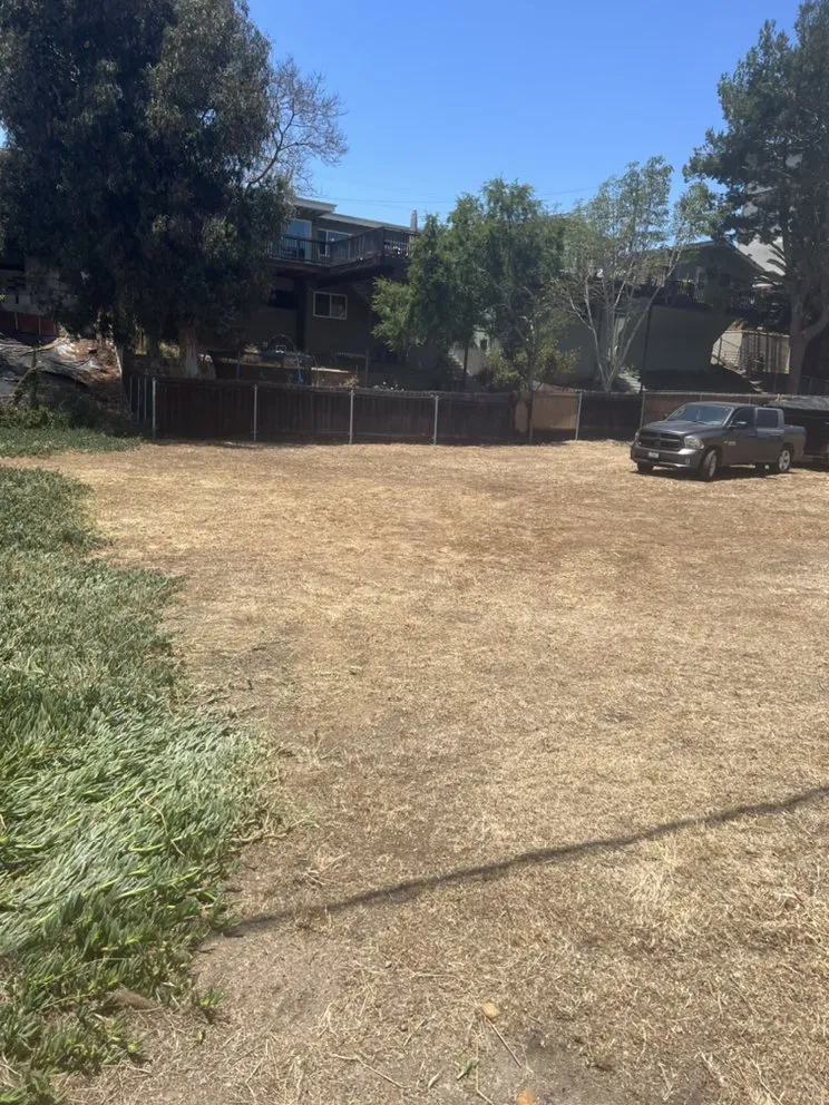 Affordable residential landscaping experts serving San Diego, CA - Matias Landscaping