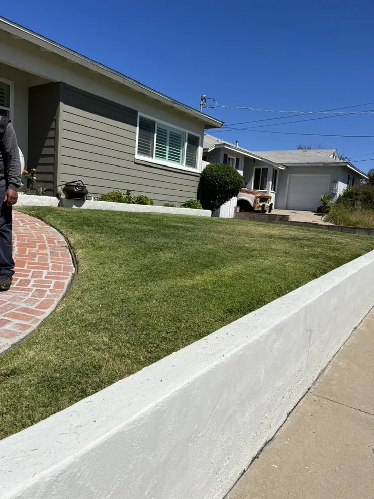 Expert yard cleanup service with custom design across San Diego, CA - Matias Landscaping