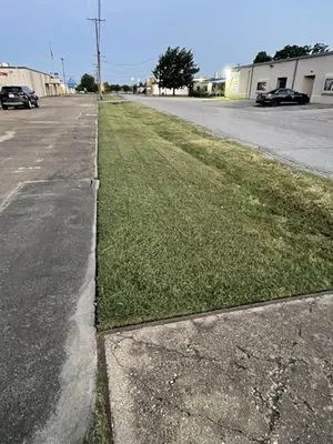 Matias landscaping Service Logo