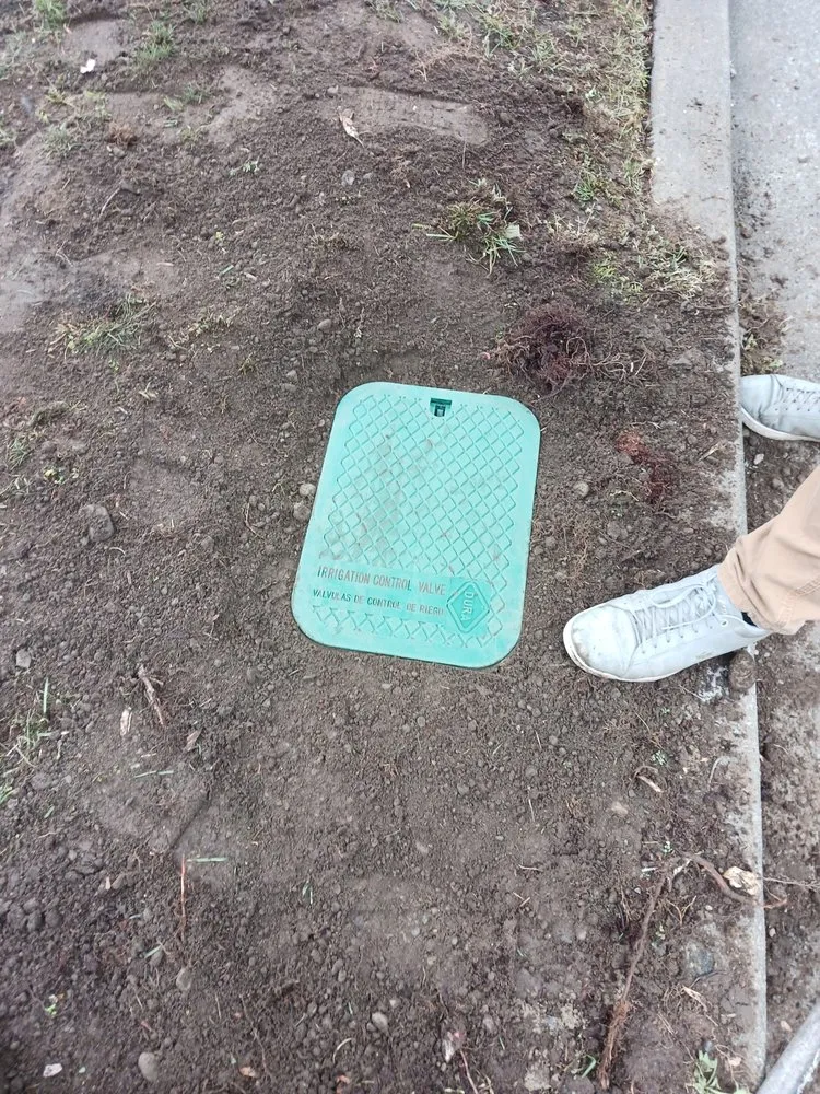 Trusted yard cleanup service with custom design in Shelton, WA by Matias Landscaping