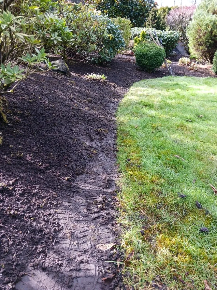 Affordable landscape design experts serving Shelton, WA - Matias Landscaping