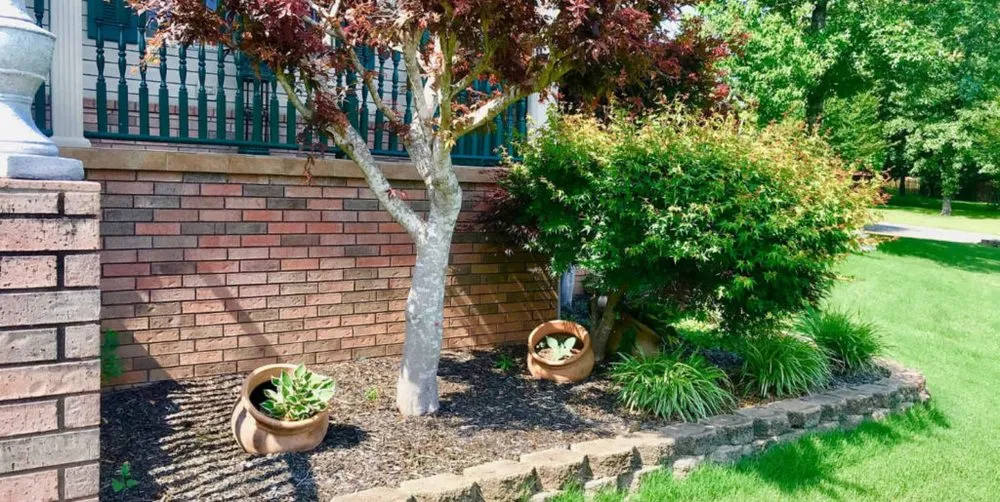 Reliable lawn care service for outdoor upgrades across Hot Springs, AR - Matias Lawn and Paint Services