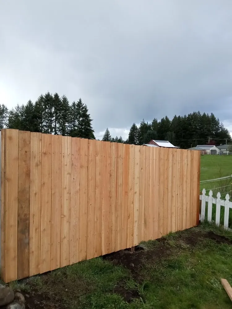 Top-rated yard maintenance experts serving Shelton, WA - Matias Maintenance