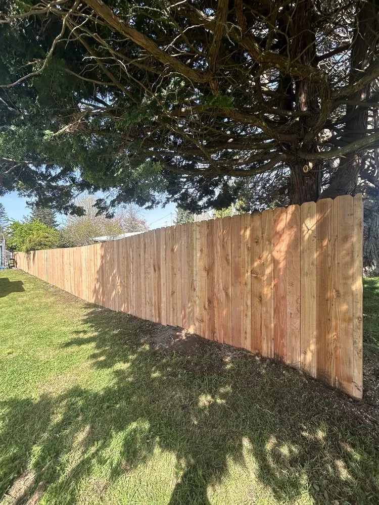 Local yard cleanup service for beautiful yards across Shelton, WA - Matias Maintenance