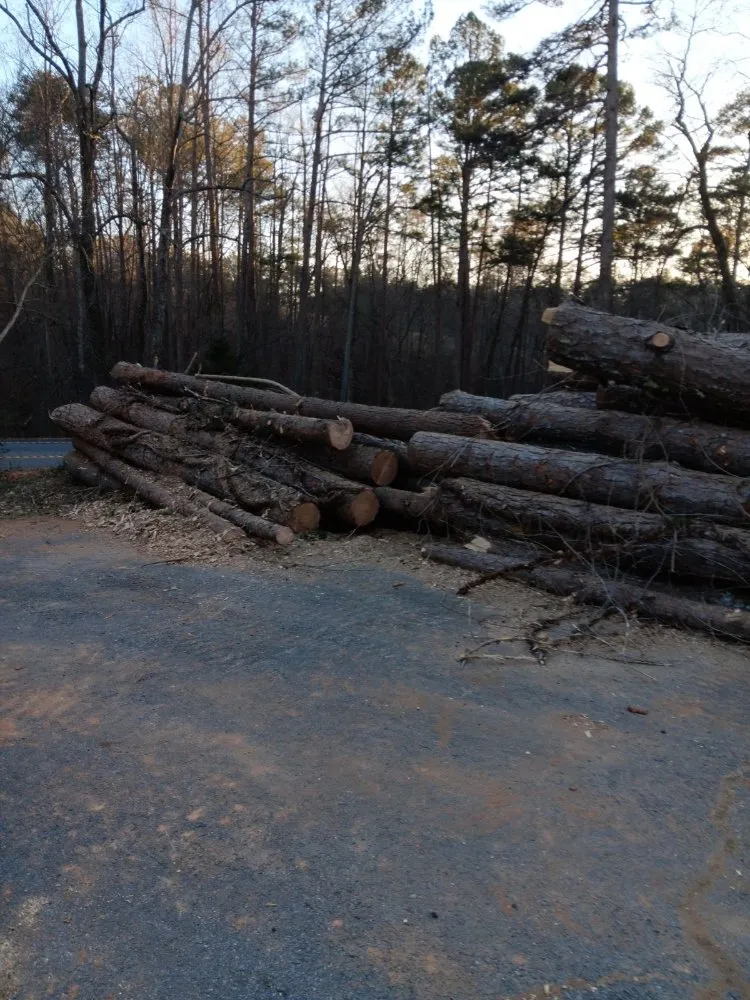 Professional garden landscaping near you across Murrayville, GA - Matias