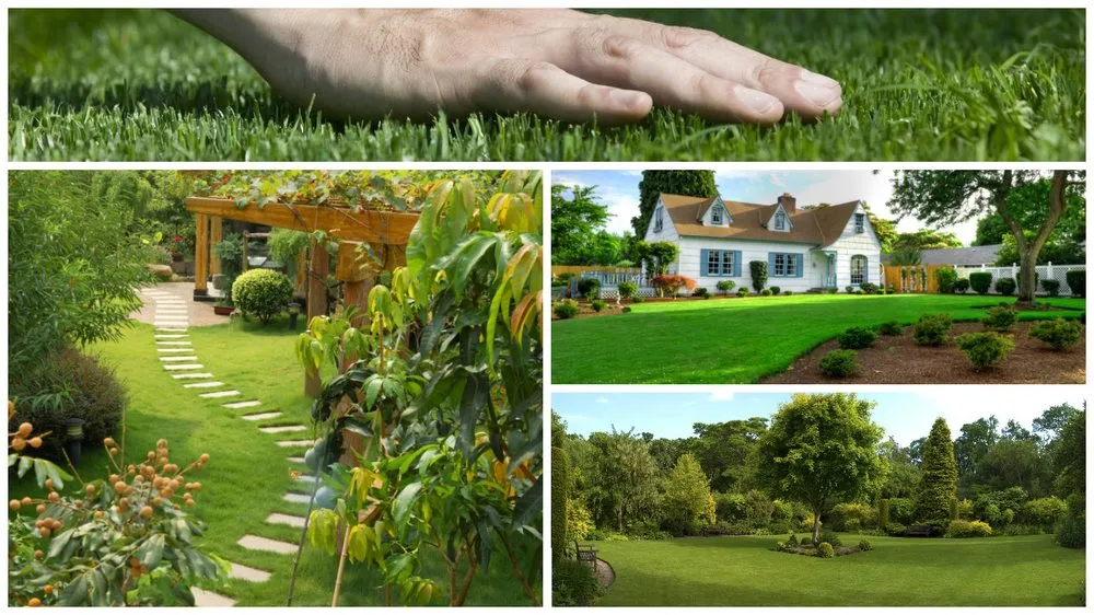 Custom landscaping services in Murrayville, GA by Matias