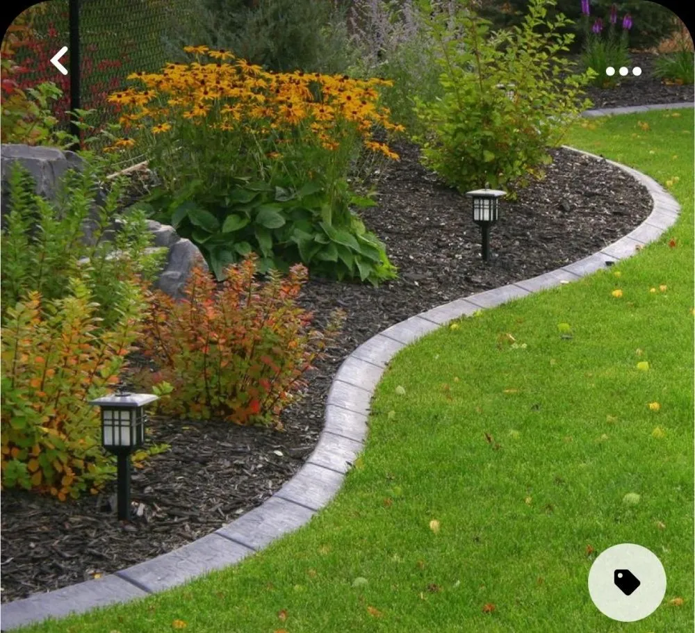 Local lawn care service in Murrayville, GA by Matias