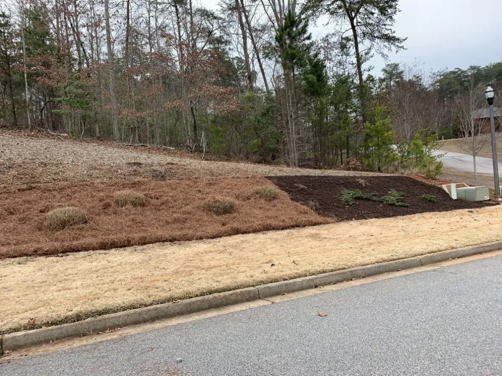 Top-rated lawn mowing service for residential properties across Murrayville, GA - Matias