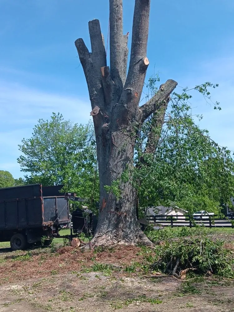 Custom outdoor landscaping near you across Murrayville, GA - Matias