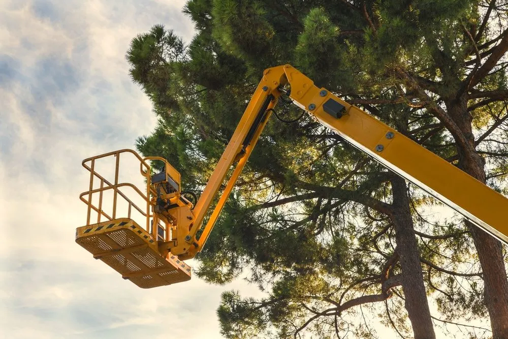 Custom yard maintenance in Murrayville, GA - Matias