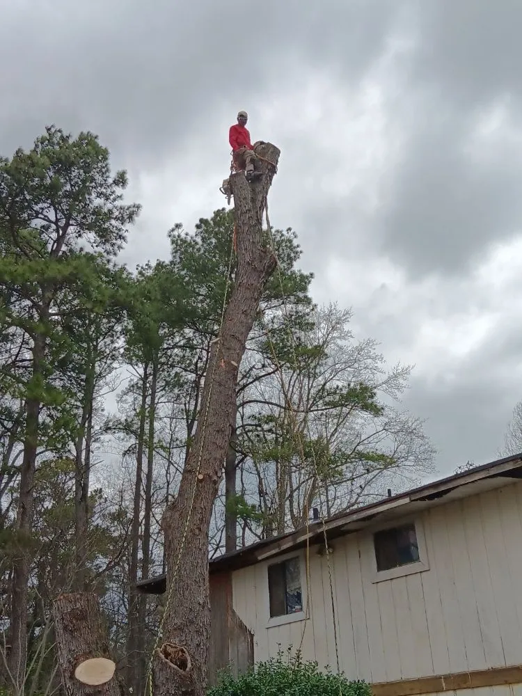 Professional landscape design in Murrayville, GA - Matias