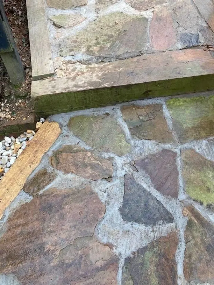 Affordable yard cleanup service in Murrayville, GA by Matias