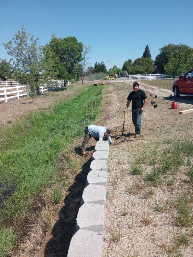 Expert lawn care service in Sacramento, CA - Matias Tree Service & Landscape Contractor