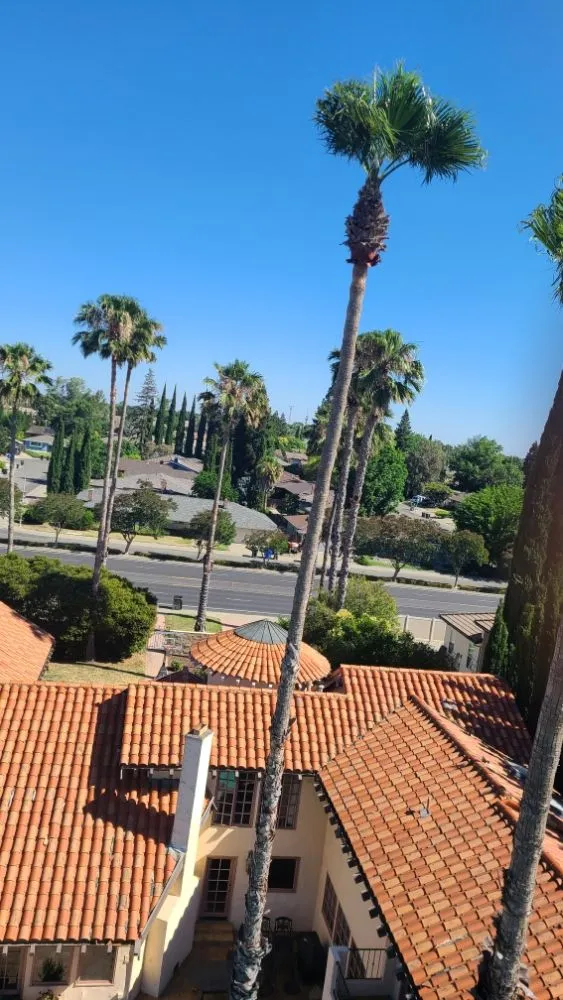 Top-rated garden landscaping in Sacramento, CA - Matias Tree Service & Landscape Contractor