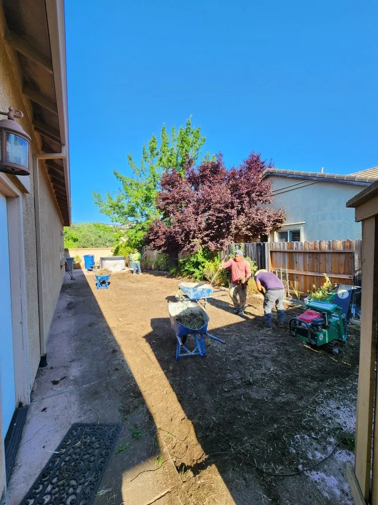 Professional garden landscaping in Sacramento, CA - Matias tree service and landscape contractor
