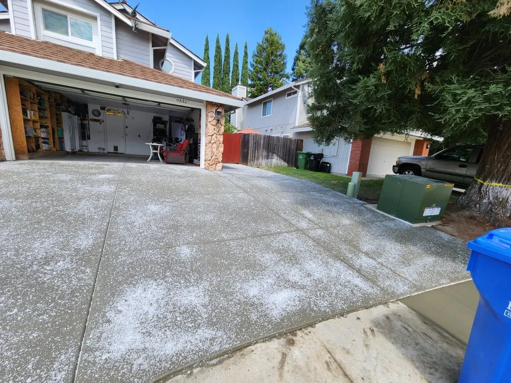 Top-rated yard maintenance experts serving Sacramento, CA - Matias tree service and landscape contractor