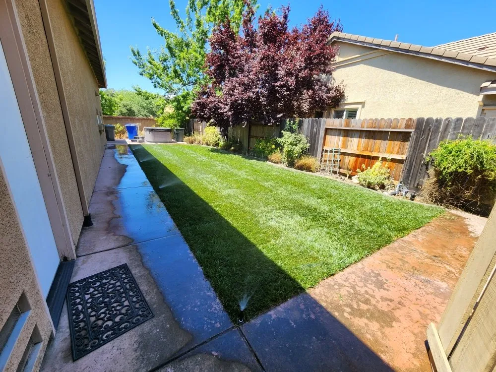 Custom yard cleanup service with custom design across Sacramento, CA - Matias tree service and landscape contractor