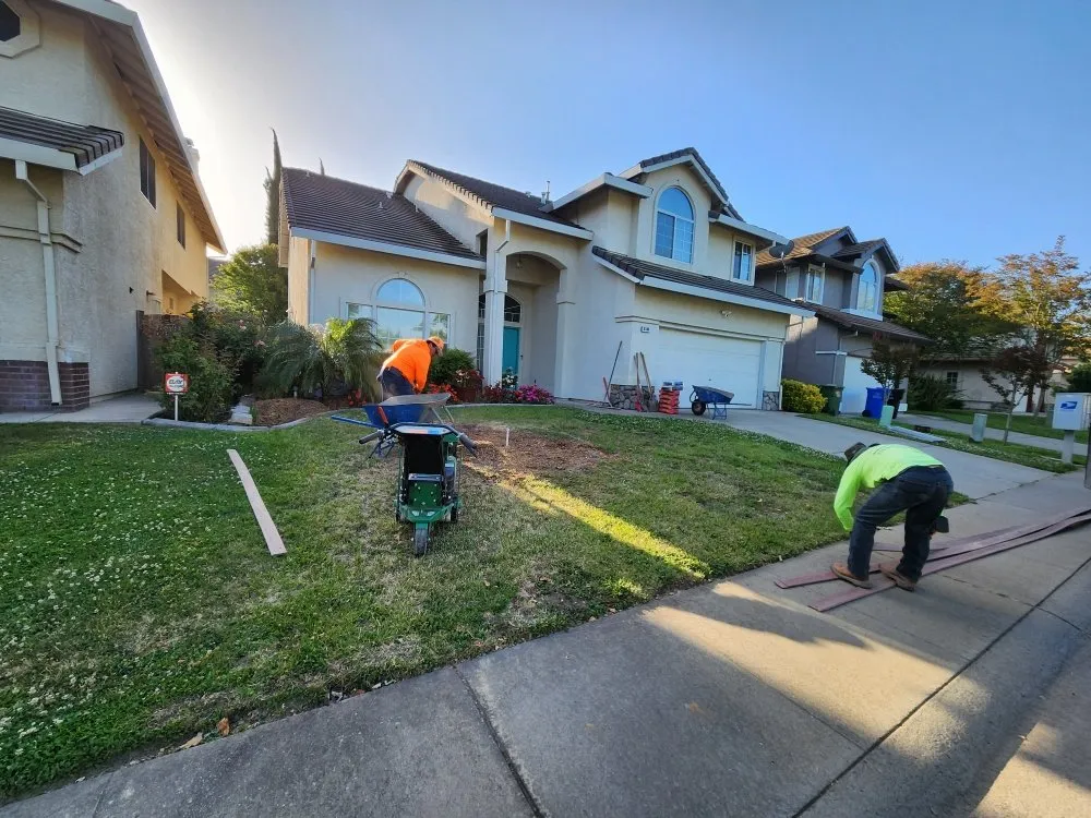 Custom lawn care service in Sacramento, CA - Matias tree service and landscape contractor