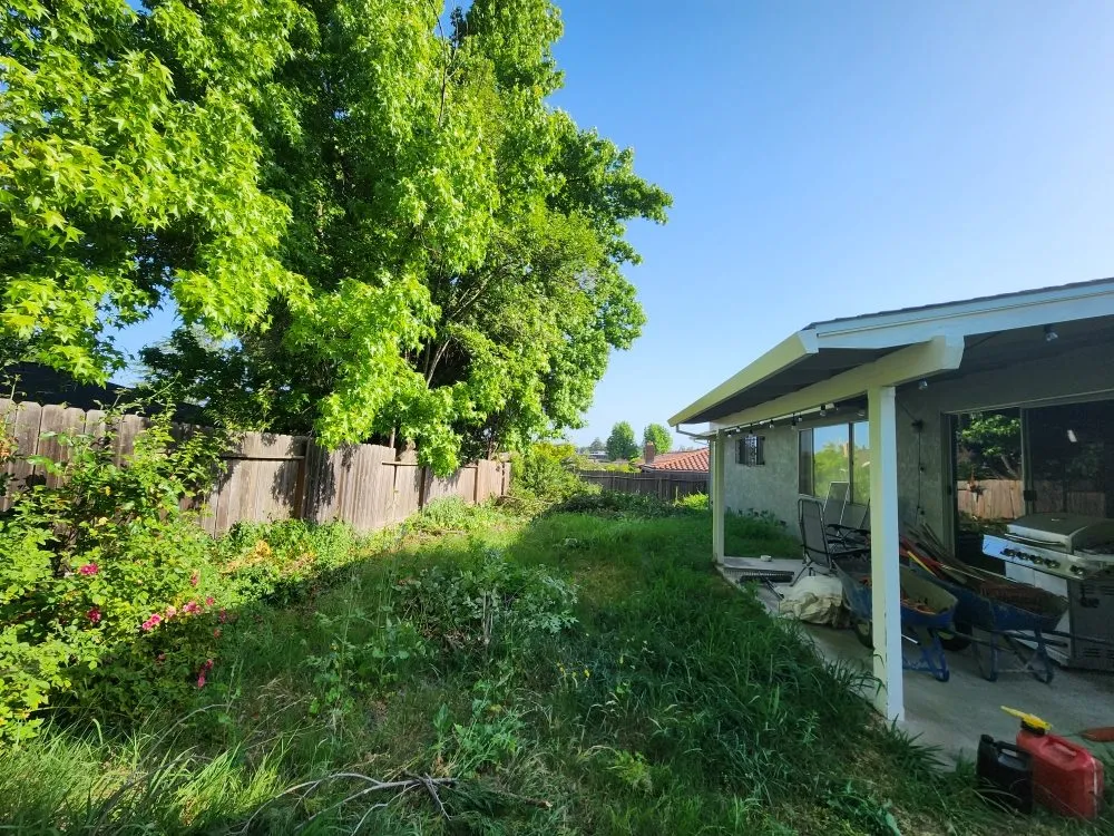 Local lawn care service in Sacramento, CA - Matias tree service and landscape contractor