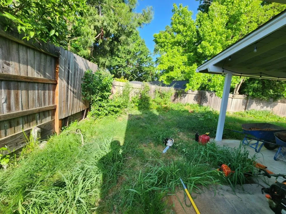 Custom landscape design experts serving Sacramento, CA - Matias tree service and landscape contractor