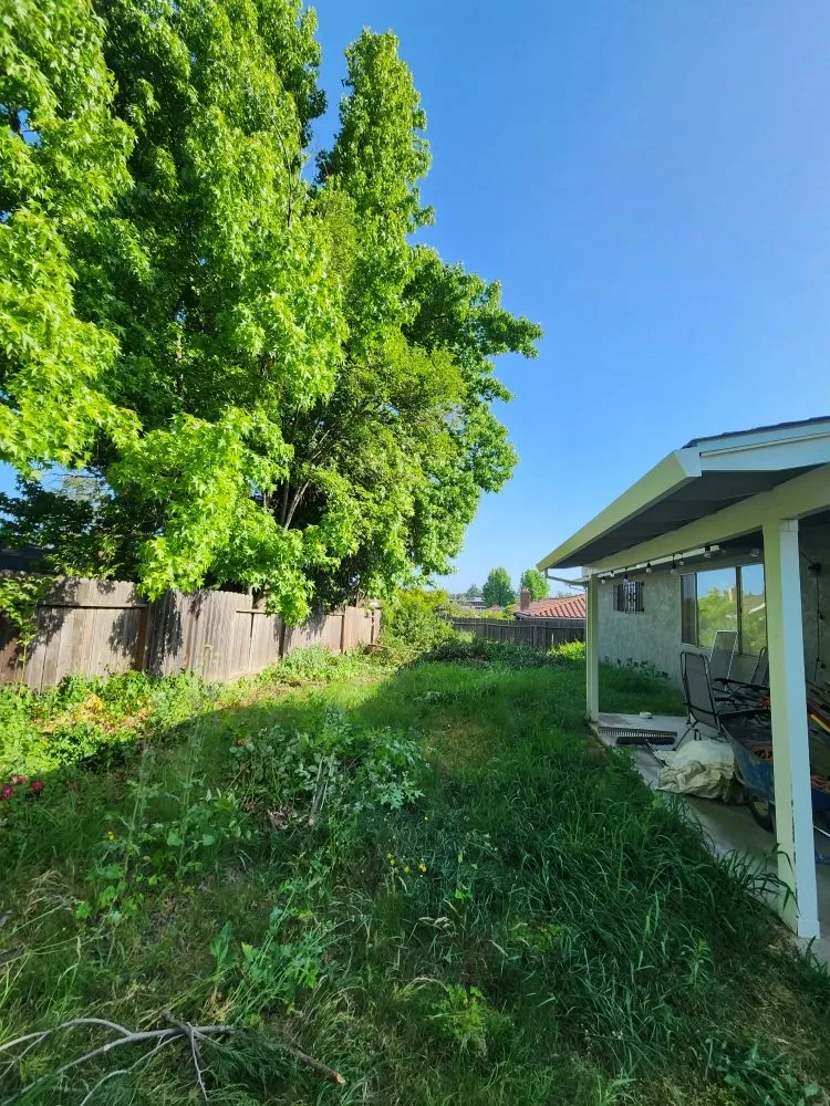 Trusted garden landscaping with custom design across Sacramento, CA - Matias tree service and landscape contractor