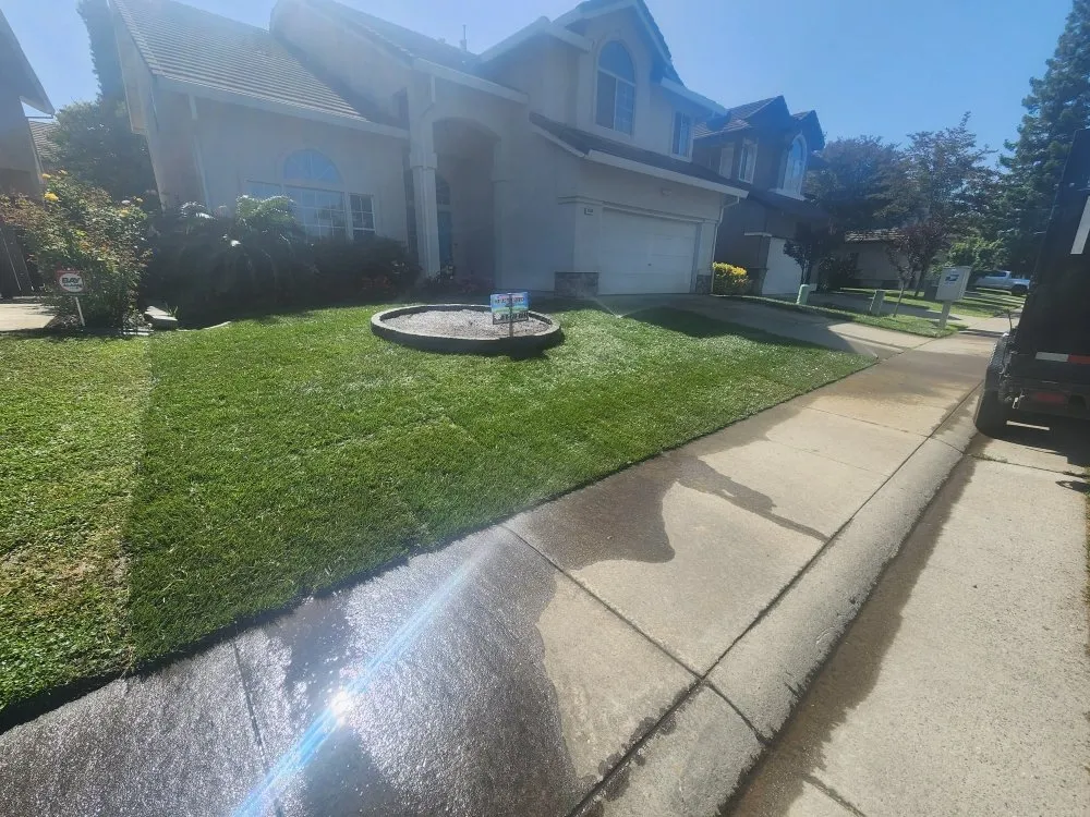 Trusted yard cleanup service in Sacramento, CA by Matias tree service and landscape contractor