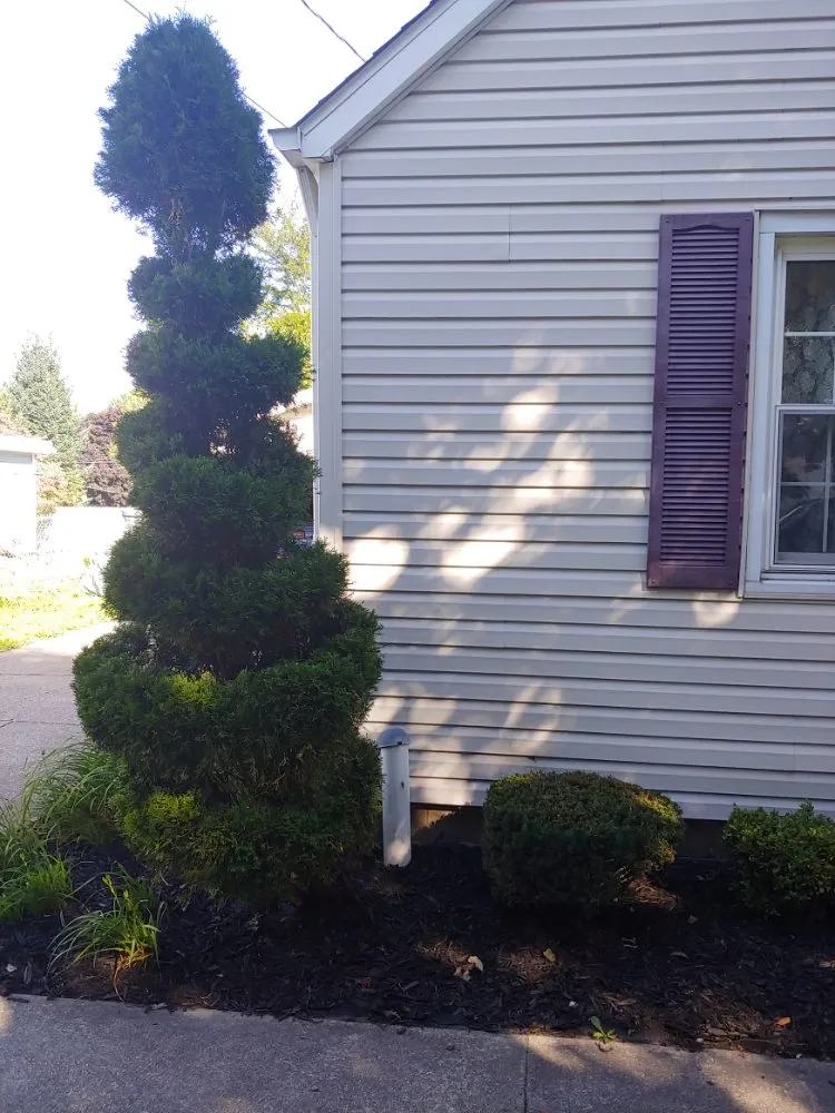 Affordable outdoor landscaping experts serving Guys Mills, PA - Matie Landscaping