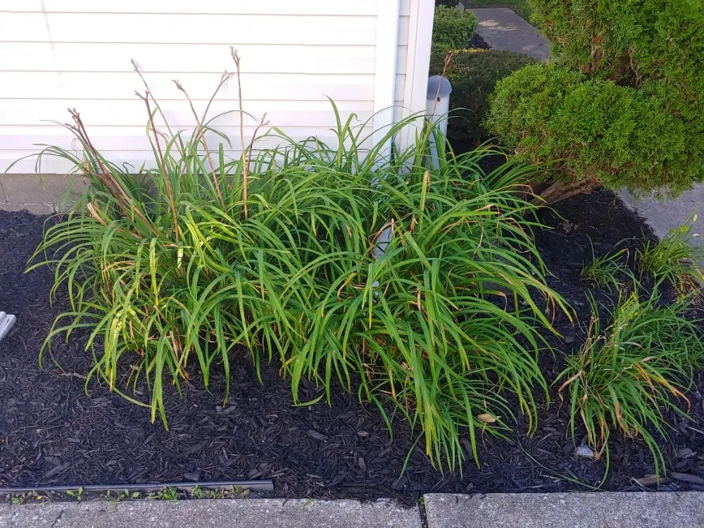 Trusted garden landscaping for beautiful yards across Guys Mills, PA - Matie Landscaping