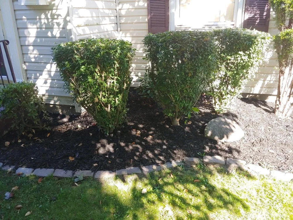 Professional garden landscaping in Guys Mills, PA - Matie Landscaping
