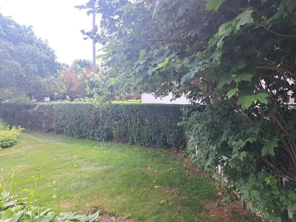 Local landscaping services in Guys Mills, PA - Matie Landscaping