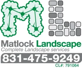 Expert yard cleanup service experts serving Santa Cruz, CA - Matlock Landscape