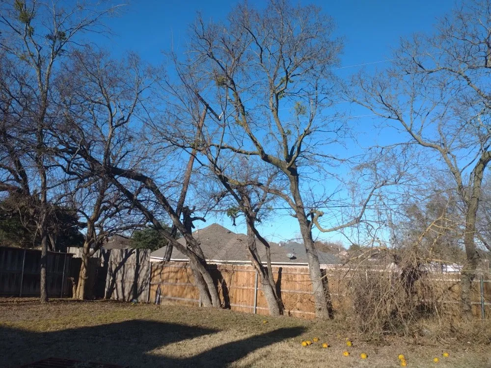 Reliable landscape installation in Fort Worth, TX by Matlock's facility care